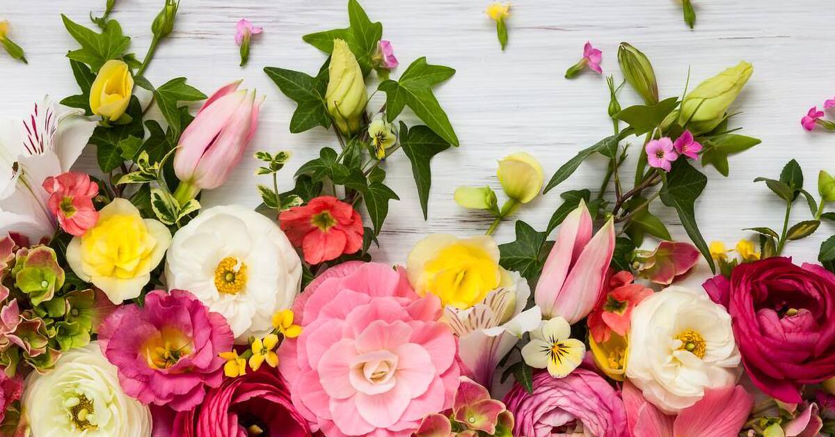 Florists.com - Rakuten coupons and Cash Back