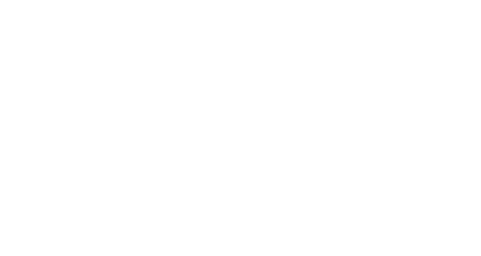TEMU logo